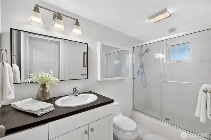 Lower level bathroom