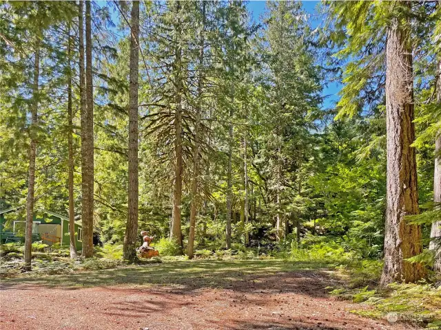 Cleared flat space on second lot just to the right of the existing cabin.