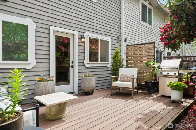 Timber tech back deck