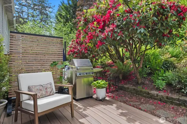 Outdoor deck with plants and walkway