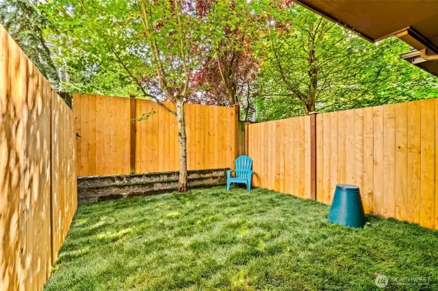 Pet friendly yard with brand new sod.