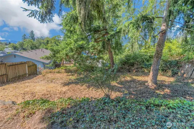 Huge lower part of the back yard! room for a rope or tire swing to hang from the tree!