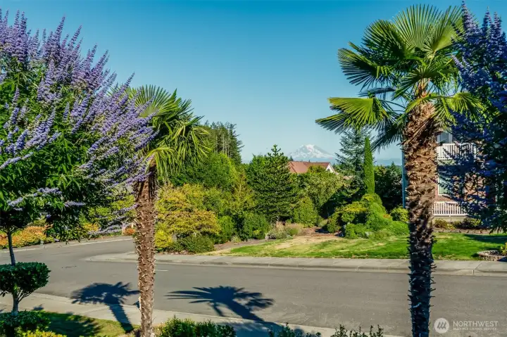 Enjoy serene front patio views framed by lush landscaping and palms, with iconic Mount Rainier as the backdrop.