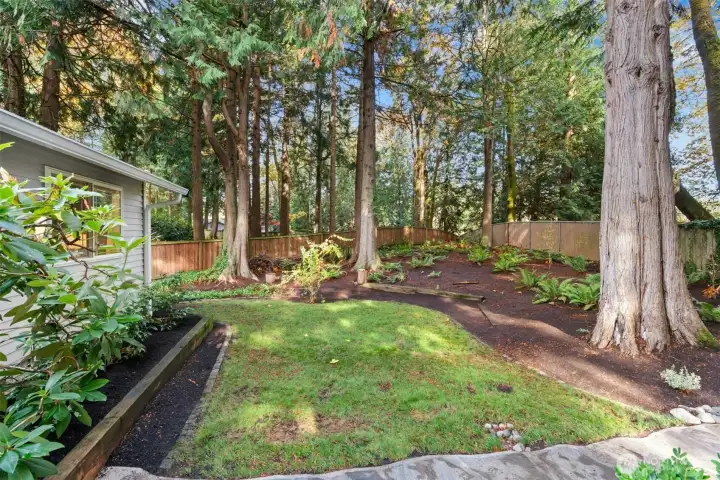 Towering evergreens, mature plantings, and a level, fully fenced backyard create a serene natural retreat