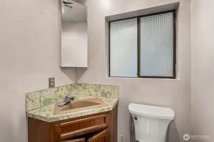 Lower level bathroom