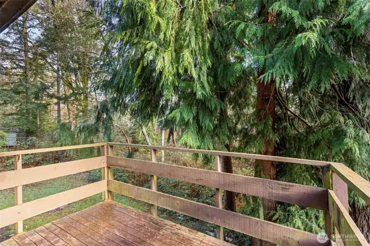 Upper main floor deck off of the dining room