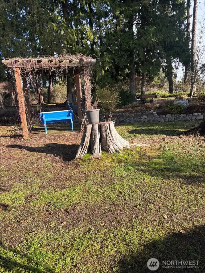 behind trees in back is park