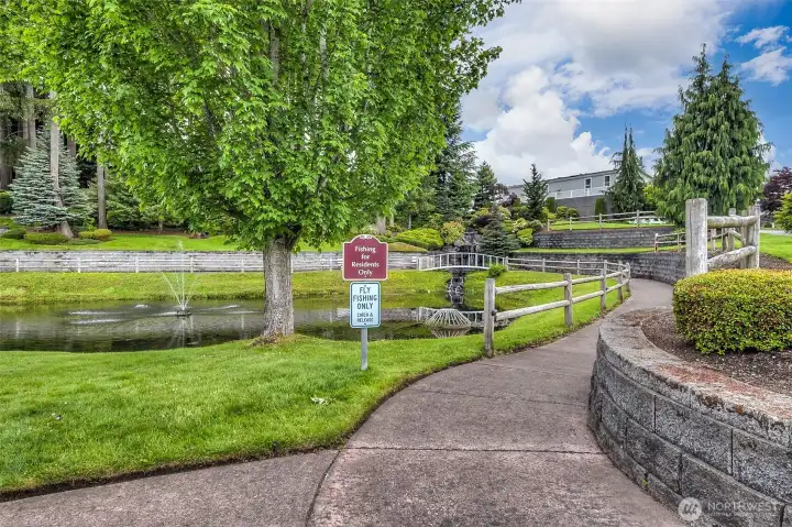 Walking trails by the ponds