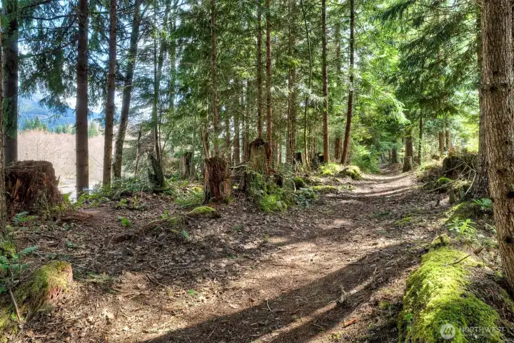 Community trail along the White River for hiking, biking (non-motorized) and horseback riding.