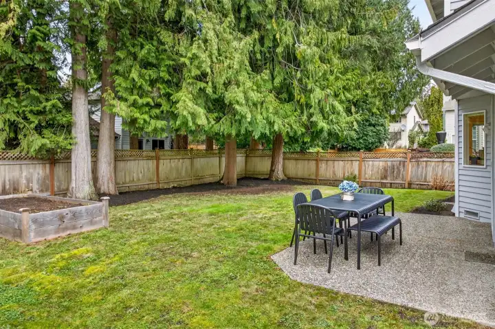 A private, fully fenced backyard offers a level lawn, raised garden beds, and a towering evergreen border that creates a peaceful outdoor setting in Amberley on English Hill.