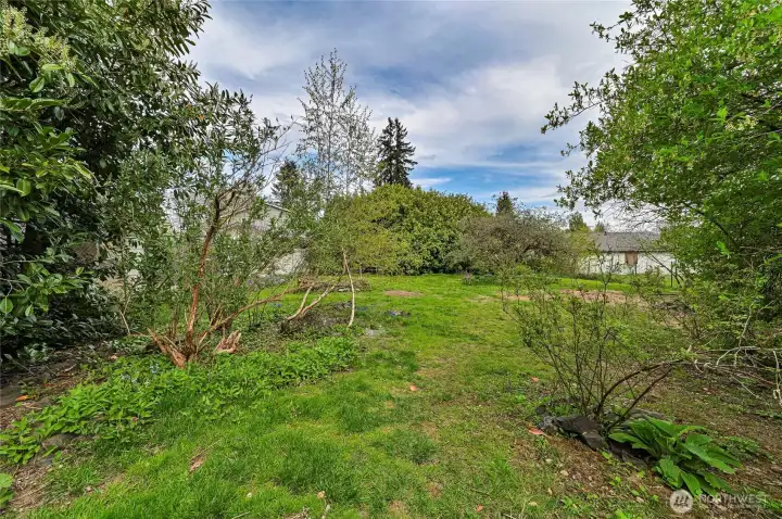 Large, fully fenced backyard!