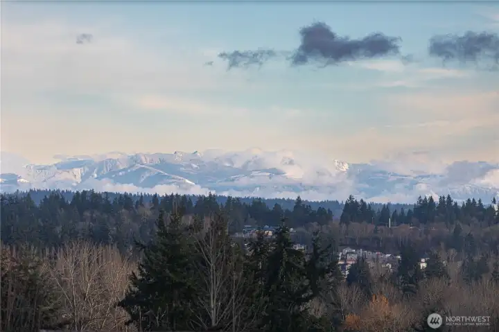 View from primary suite