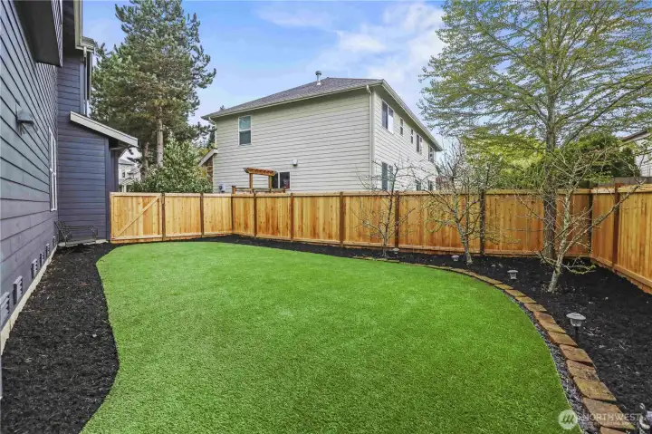 Turf backyard with brand new fence.