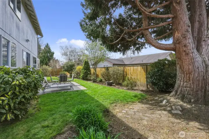 The flowering bushes will bloom shortly--adding wonderful color and fullness.