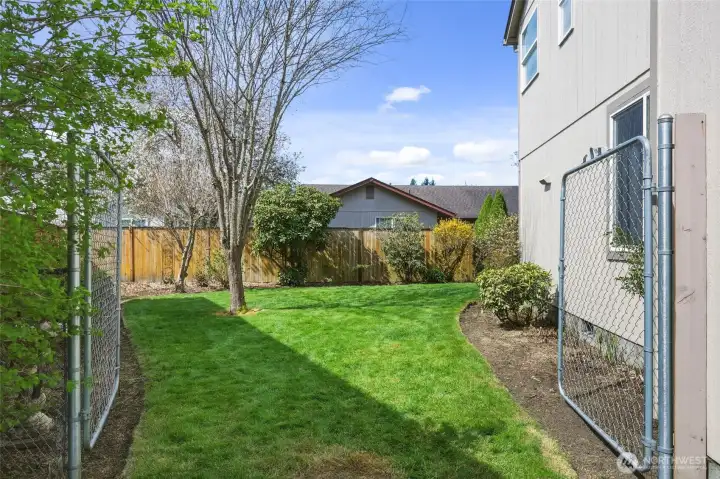 Wide gate on the side yard means easy access for projects, and the shape of the lot offers this extra space on the side.