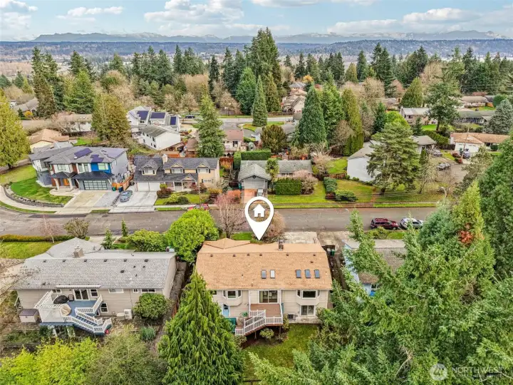 Tucked on a quiet, tree-lined street just moments from Microsoft's campus, there's more than meets the eye in this mid-century gem! Tucked on a quiet, tree-lined street just moments from Microsoft's campus, there's more than meets the eye in this mid-century gem!