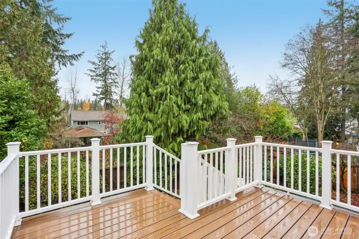 A brand new Trex deck gives you room to enjoy fantastic summers and BBQ with ease. A brand new Trex deck gives you room to enjoy fantastic summers and BBQ with ease.