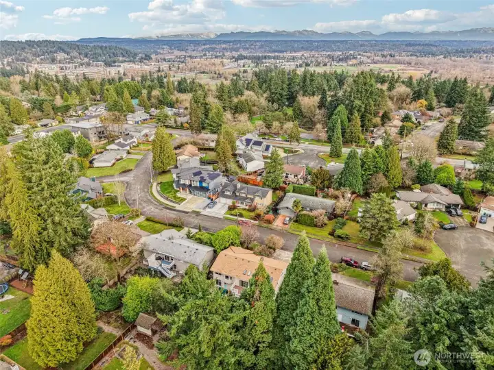 Parks, trails, dining, light rail, Lake WA schools and more - all of it is right at your fingertips! Parks, trails, dining, light rail, Lake WA schools and more - all of it is right at your fingertips!