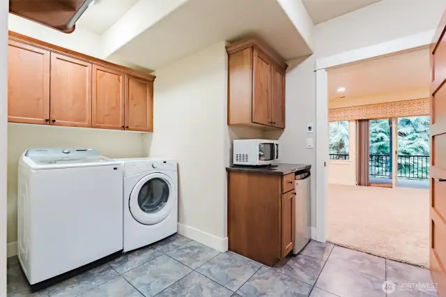 Lower level laundry room