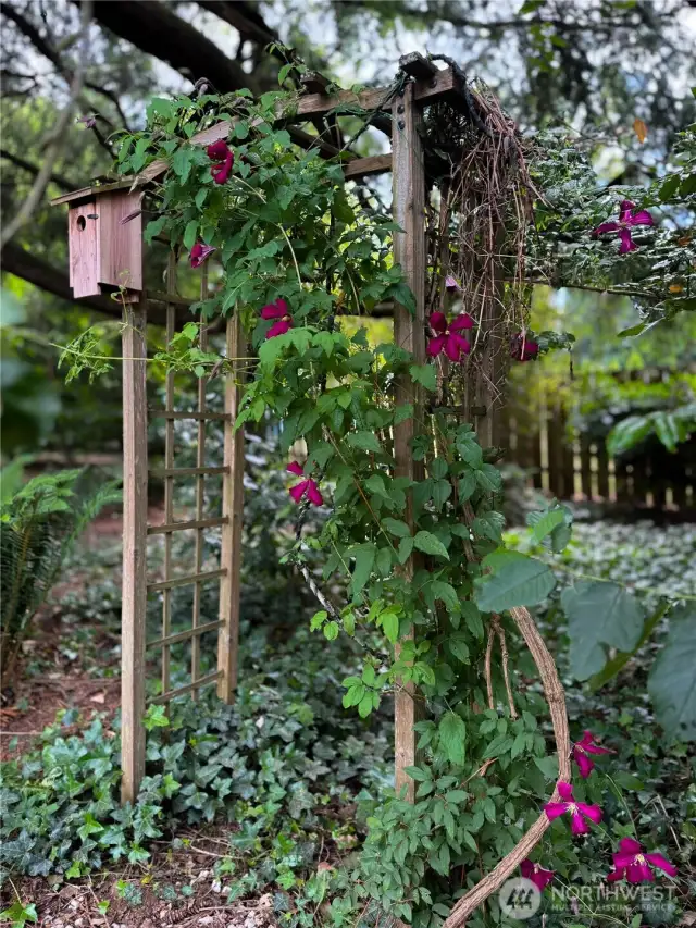 Beautiful Yard!