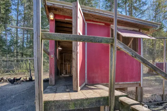 Chicken Coop