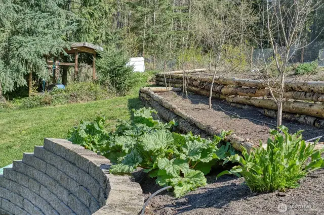 Terraced gardens