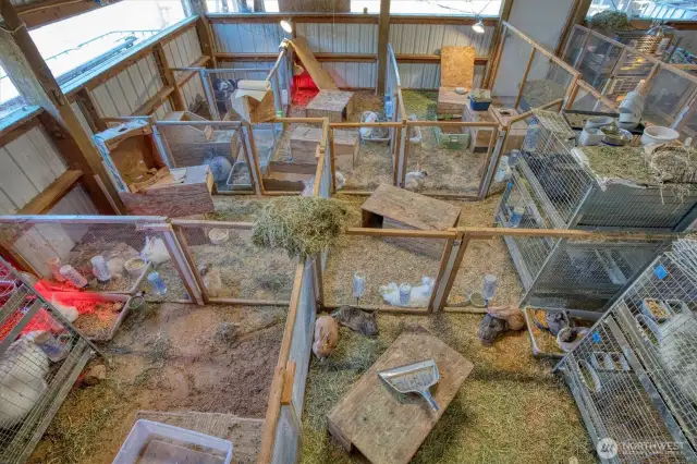 Dividable rabbit colony