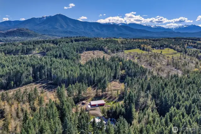 Blue Mt area