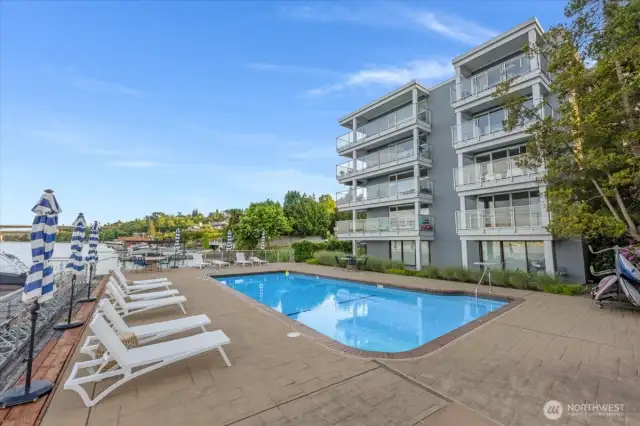 Leschi Shores on Lake Washington
