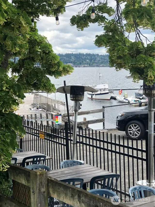 Leschi marina