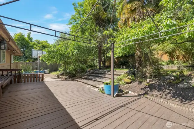 Backyard deck
