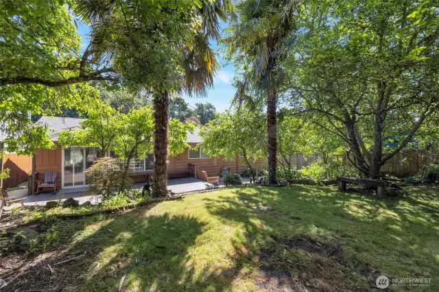 Private fenced backyard