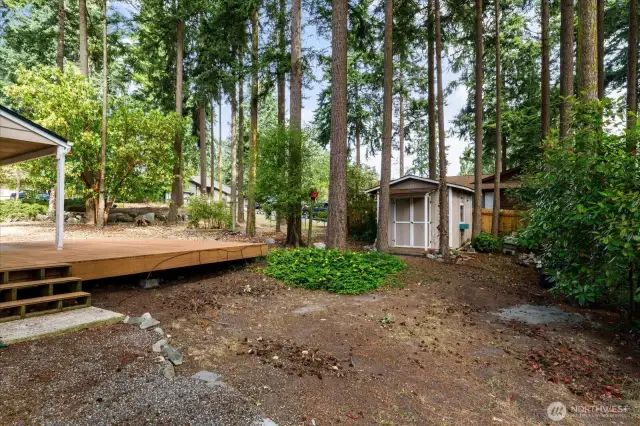 Large Backyard with mature trees.