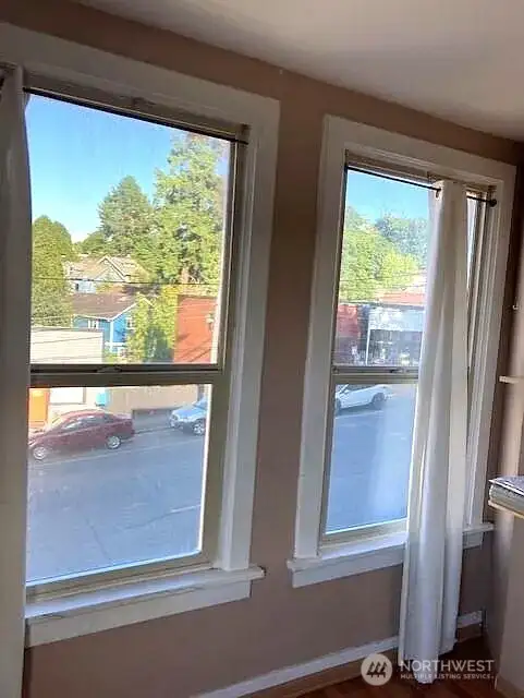 Vinyl Windows