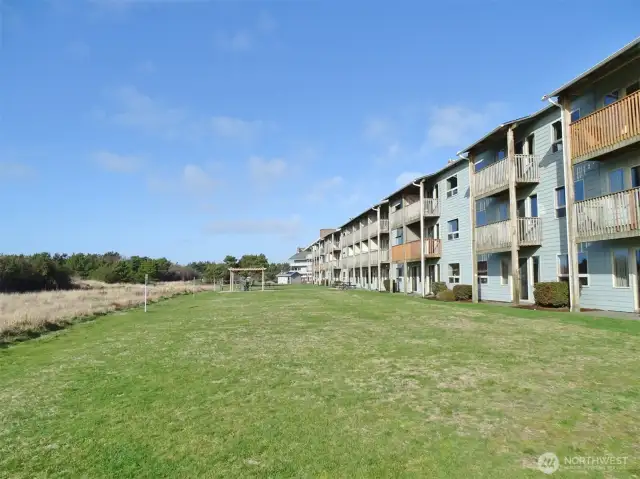 Large backyard lawn area.