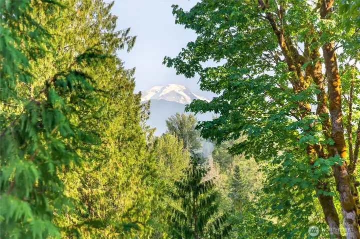 Peekaboo view of Mt Baker.