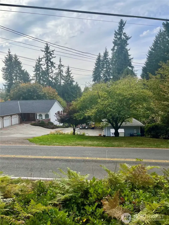 View to across the street.  Lake Martha is across, public access very close by.