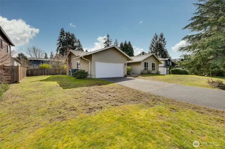Crows decided to feast on that section of the grass. Its usually green.