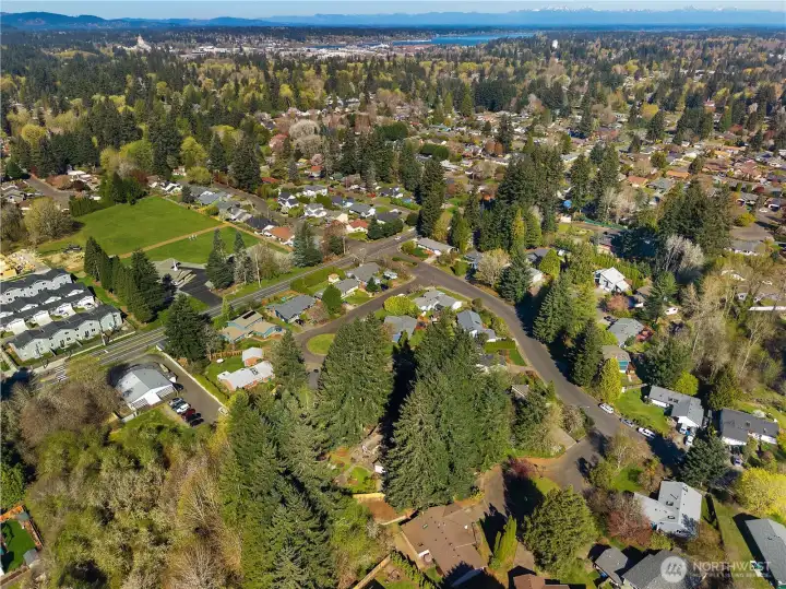 Enjoy a rare backyard setting with open lawn, mature trees, and thoughtfully designed garden areas.