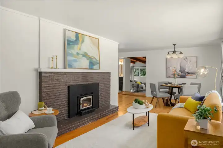wood-burning fireplace insert