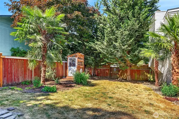 Another small shed on the property.