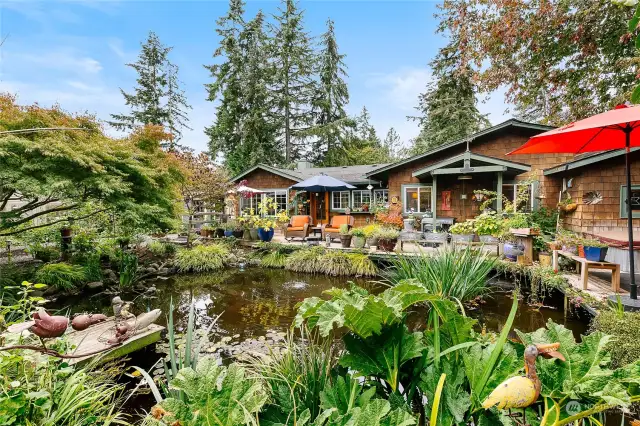 Secluded backyard with a large KOI pond, mature garden, and Airbnb