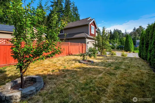 Front yard featuring fruit trees!