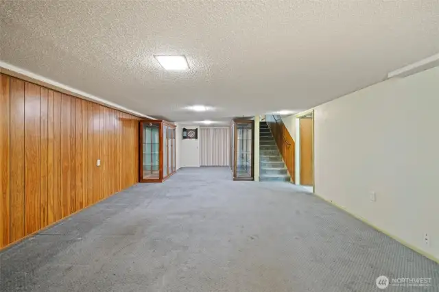 Basement - Bonus room
