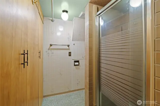 Basement bathroom w/ shower