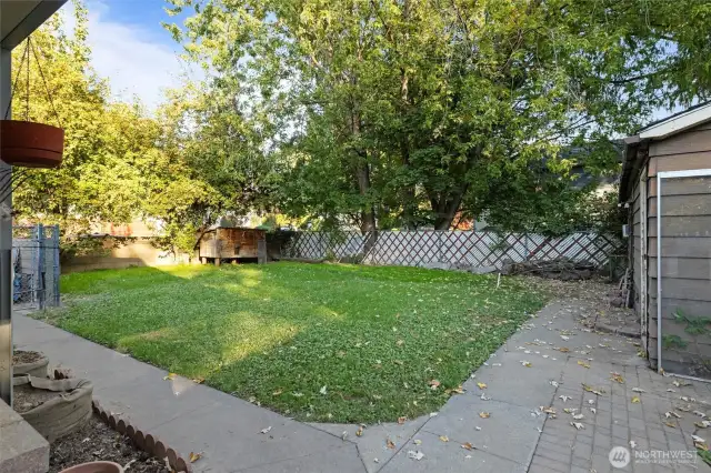 Large yard