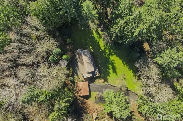 Secluded Shy 2 Acres
