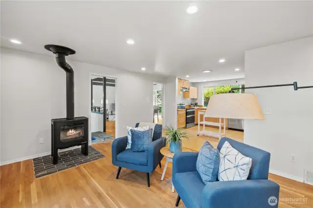 Free Standing Wood Stove