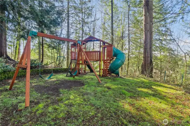 Play Structure