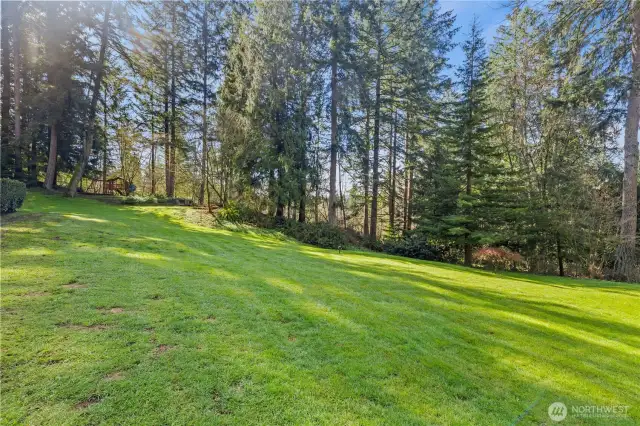 Tons of Space, Trails and More